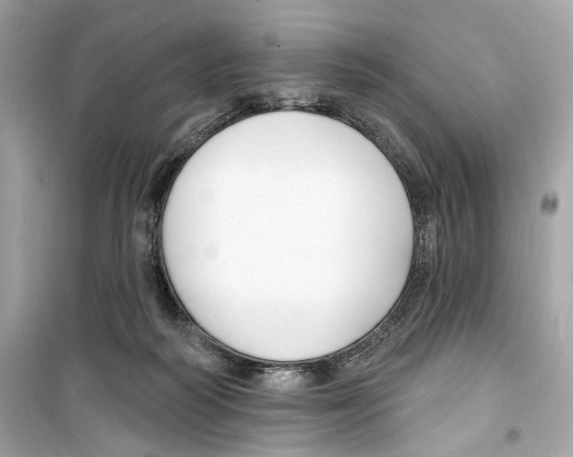 X0000098210218200805221634