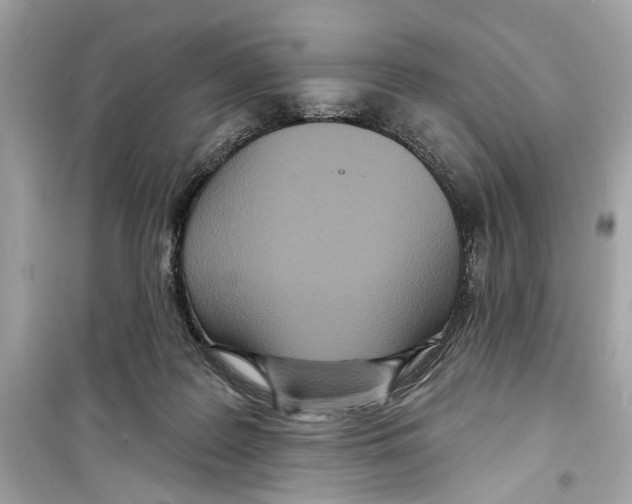 X0000098210219200805221634