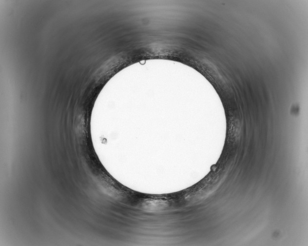 X0000098210220200805221634