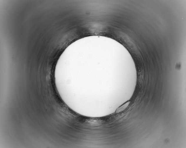 X0000098210221200805221634