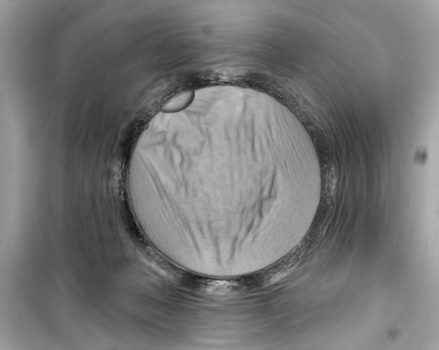 X0000098210222200805221634