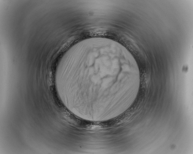 X0000098210224200805221634