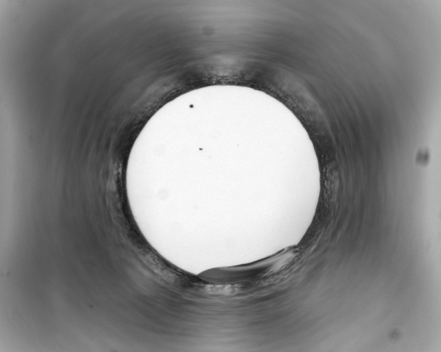 X0000098210225200805221634