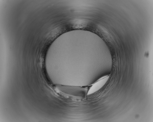 X0000098210227200805221634