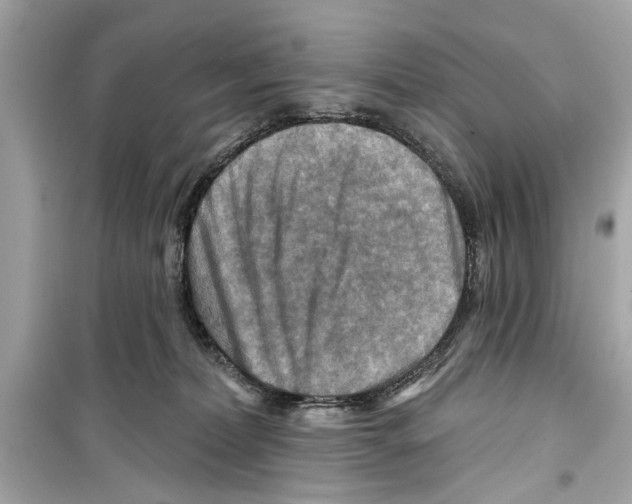 X0000098210228200805221634