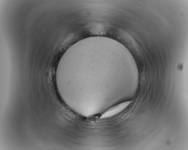 X0000098210229200805221634