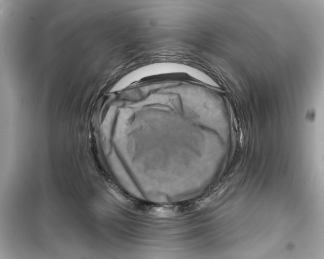 X0000098210232200805221634