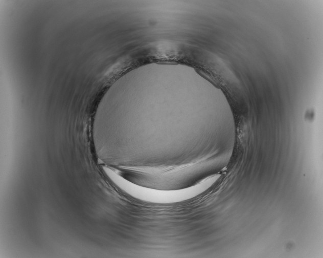 X0000098210233200805221634