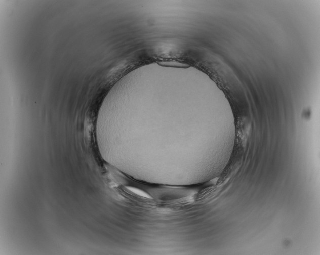 X0000098210235200805221634