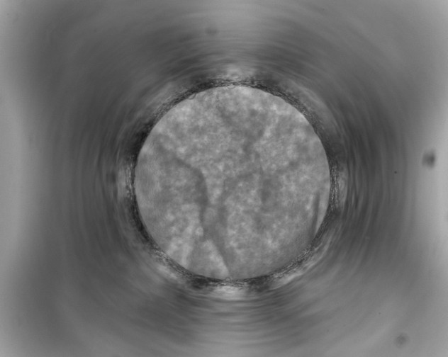 X0000098210236200805221634