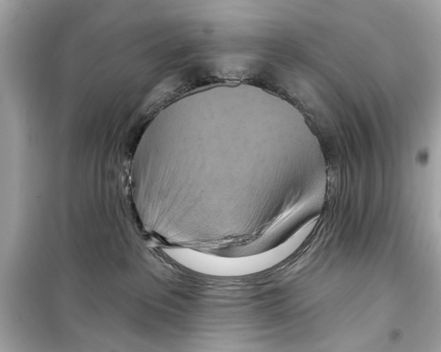 X0000098210237200805221634
