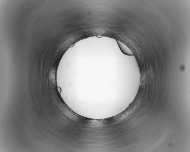 X0000098210238200805221634