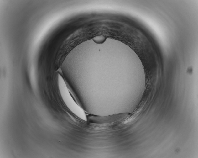 X0000098210239200805221634