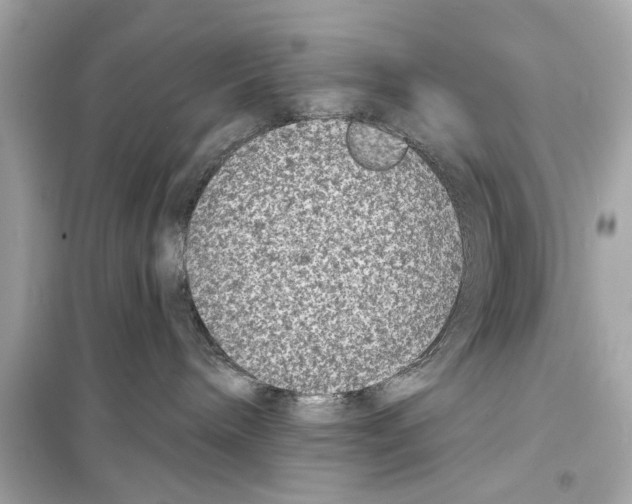 X0000098210240200805221634