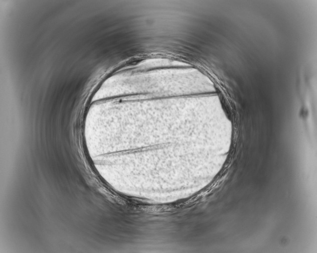 X0000098210241200805221633