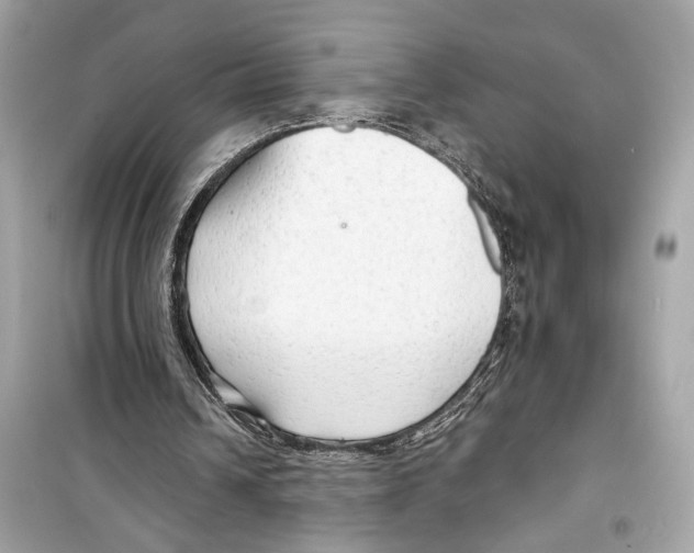 X0000098210242200805221633