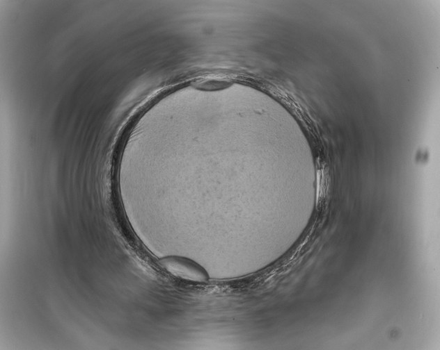 X0000098210243200805221633