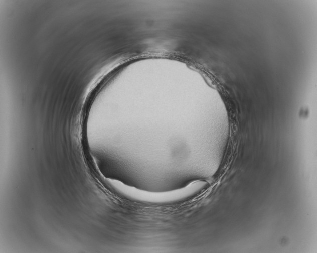 X0000098210244200805221633