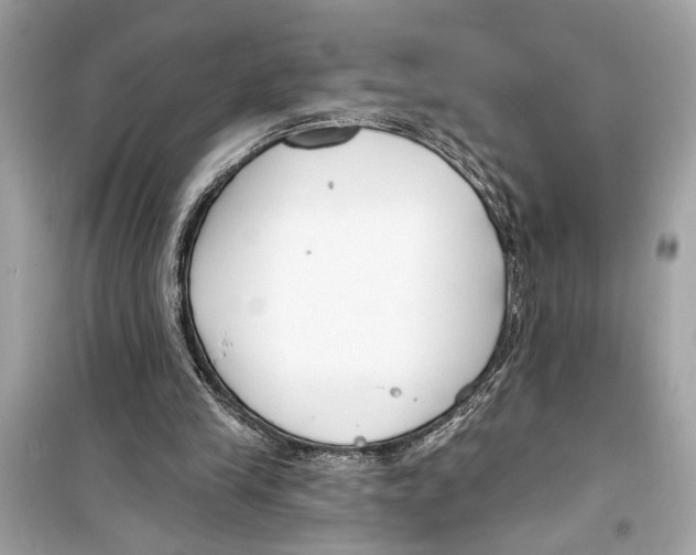 X0000098210245200805221633