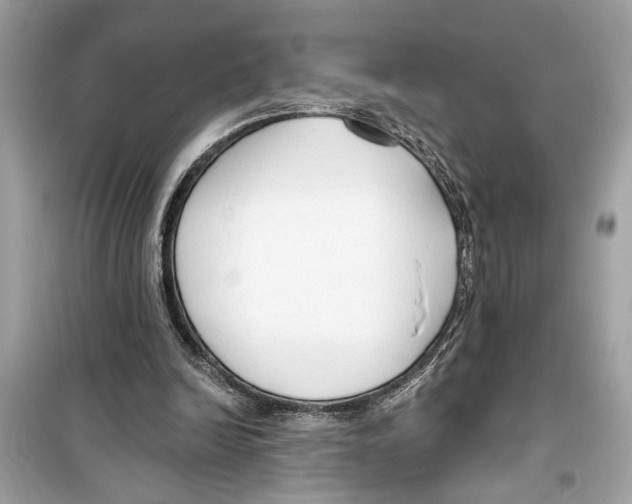 X0000098210246200805221633