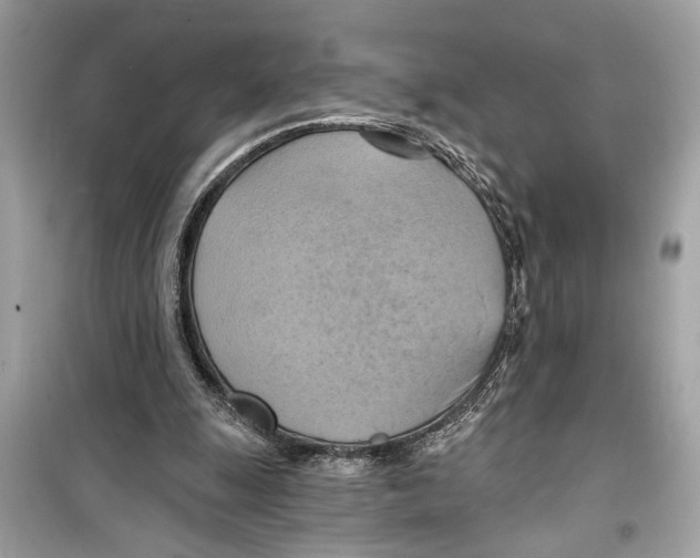 X0000098210247200805221633