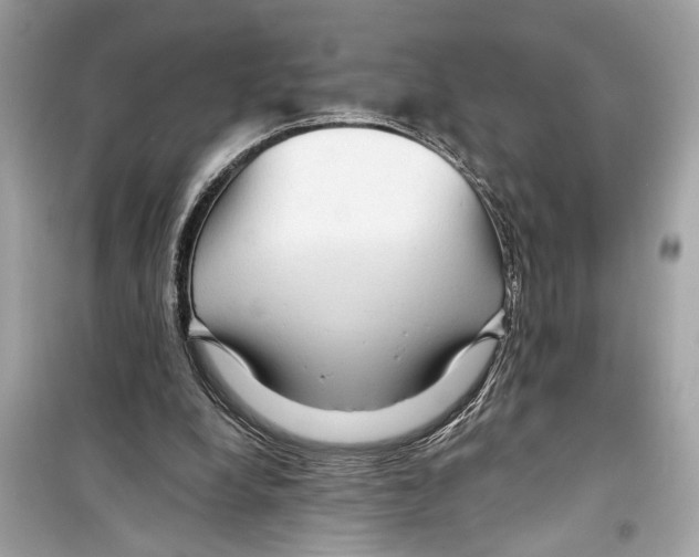 X0000098210248200805221633