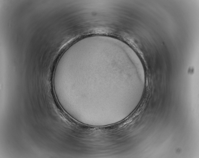 X0000098210249200805221633