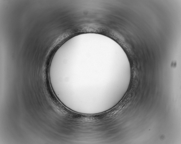X0000098210250200805221633