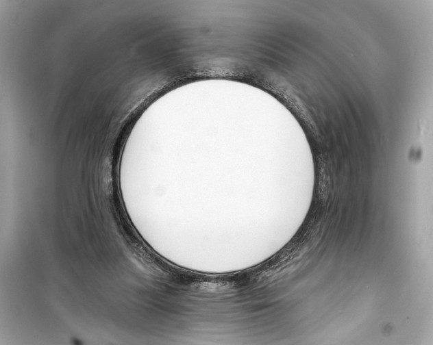 X0000098210251200805221633