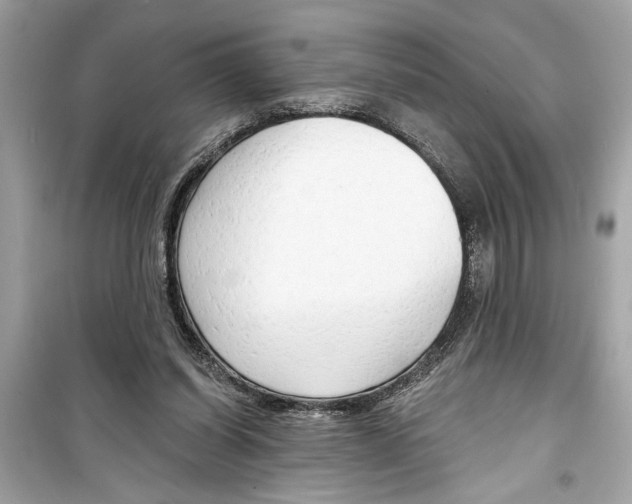 X0000098210254200805221633