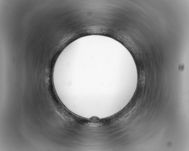 X0000098210255200805221633