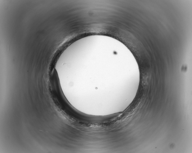 X0000098210256200805221633