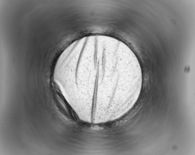 X0000098210257200805221633