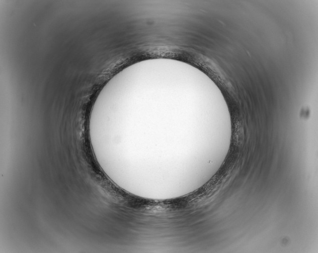 X0000098210259200805221633