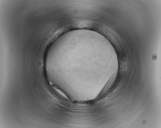 X0000098210260200805221633
