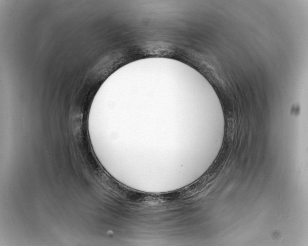 X0000098210263200805221633