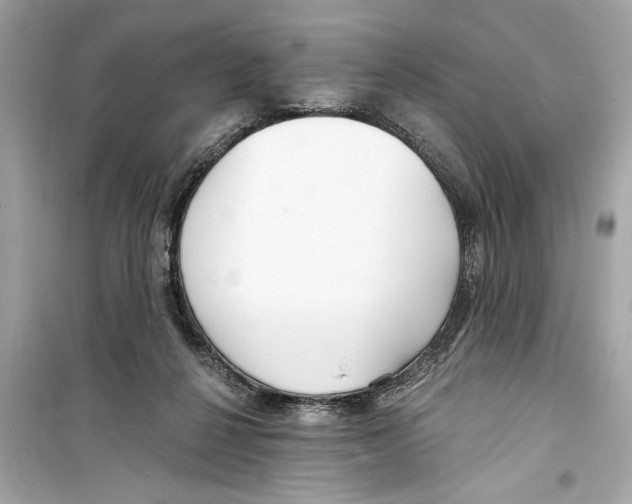 X0000098210264200805221633