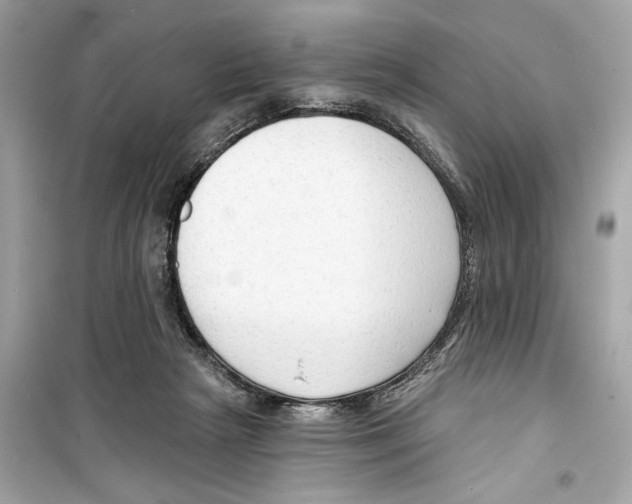 X0000098210265200805221633