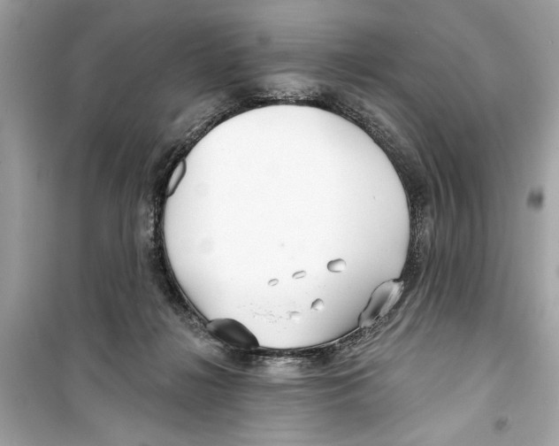 X0000098210268200805221633