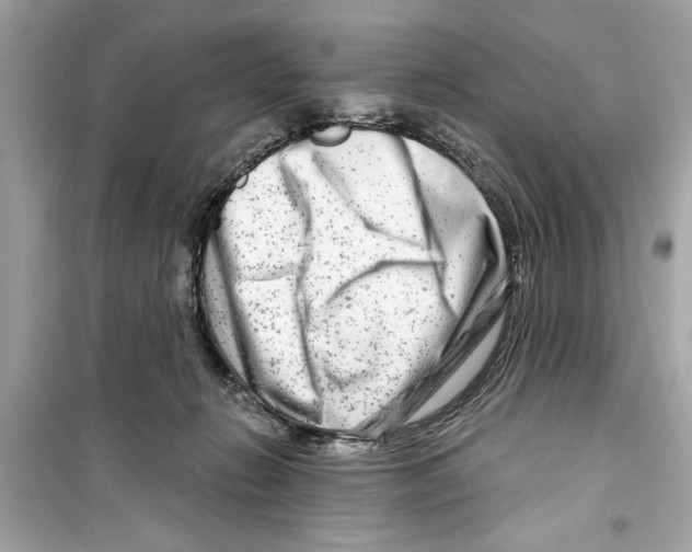 X0000098210270200805221633