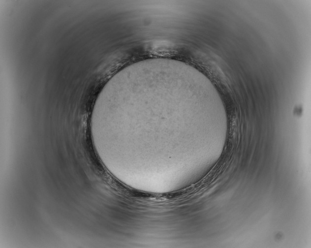 X0000098210271200805221633