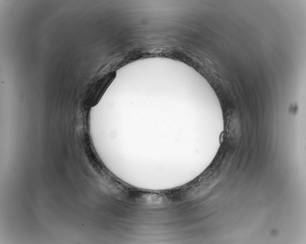 X0000098210272200805221633
