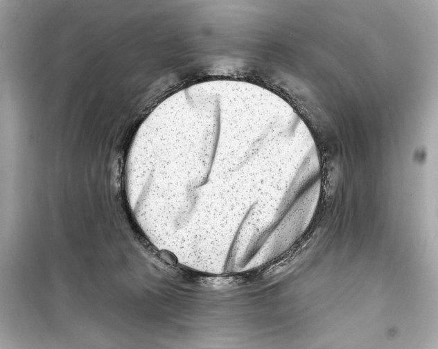 X0000098210273200805221633