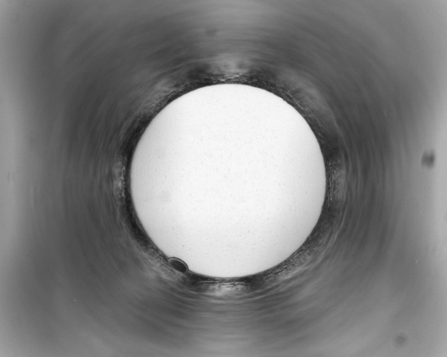 X0000098210274200805221633