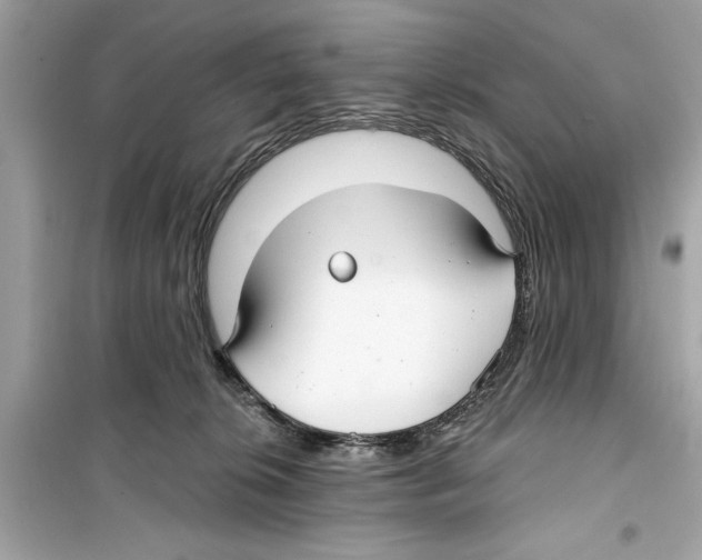 X0000098210276200805221634