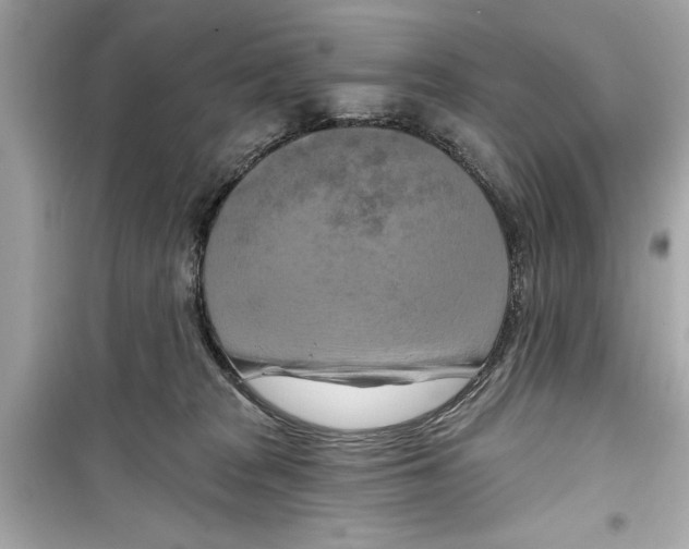 X0000098210277200805221634