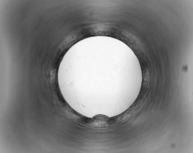 X0000098210278200805221634