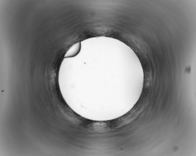 X0000098210279200805221634