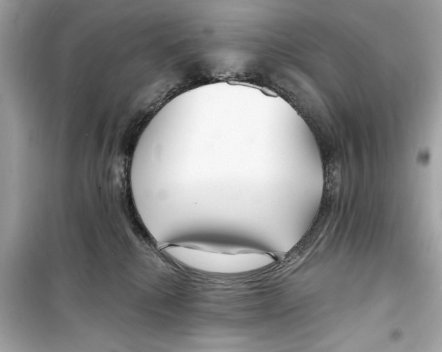 X0000098210280200805221634
