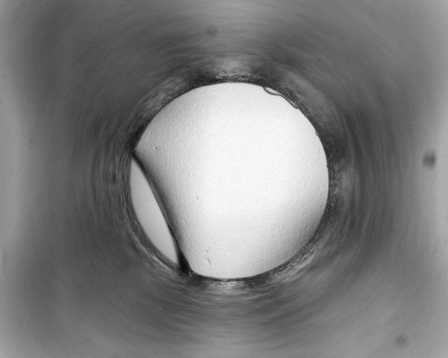 X0000098210281200805221634